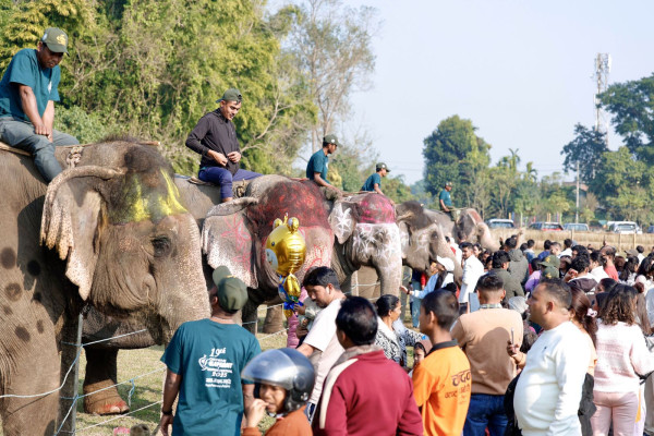 चितवनको सौराहामा हात्तीले देखाएको रमिता